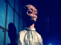 Ulkomaalaiset osallistuvat taloudelliseen salaliittoon?