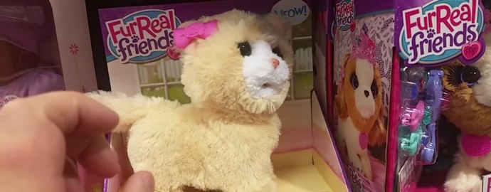 Demoni infusoi leikkikissanpentua?