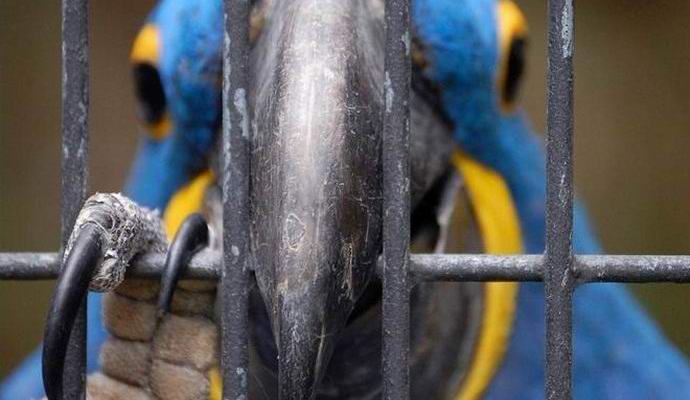 Intiassa pidätettiin ryöstöpalkki