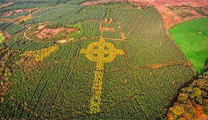 Irlannissa löysi valtavan puiden kuormatun kelttiläisten ristin