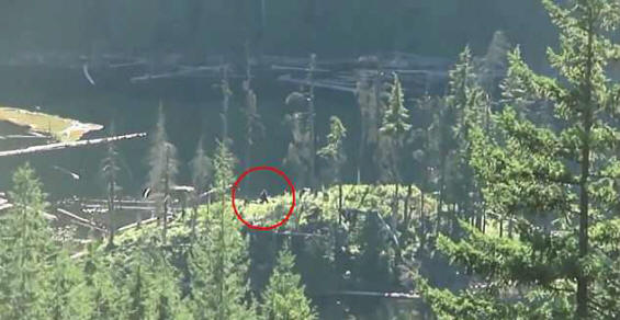 Kanadassa kuvattu lumiukko