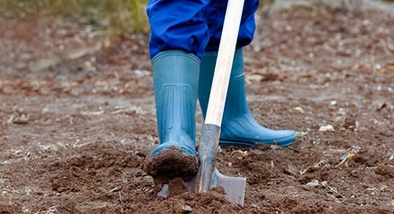 Kazakstanista löytyi hyvin säilynyt keskiaikainen alus