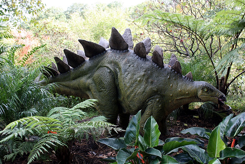 Marokossa löydettiin muinaisen stegosauruksen jäänteet