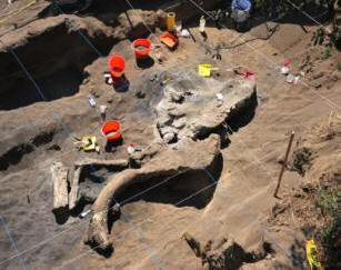 Löytyi Meksikossa aikuisen mammutin jäänteet