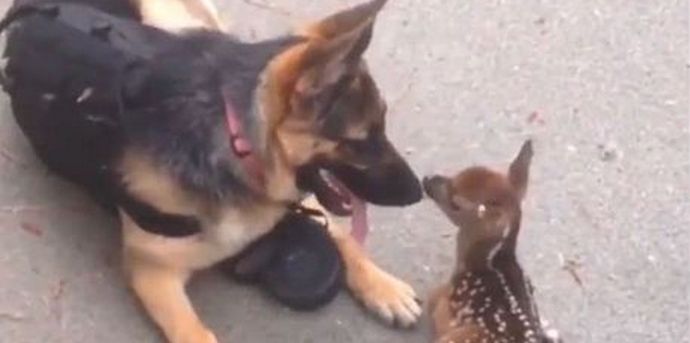 Pieniä ihmeitä tapahtuu jatkuvasti luonnossa