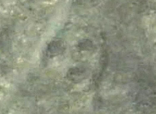 Muotokuva Nazcan tasangolla.