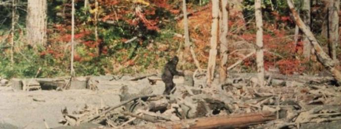 Lumiukon luuranko ilmestyi tutkijoiden käsiin