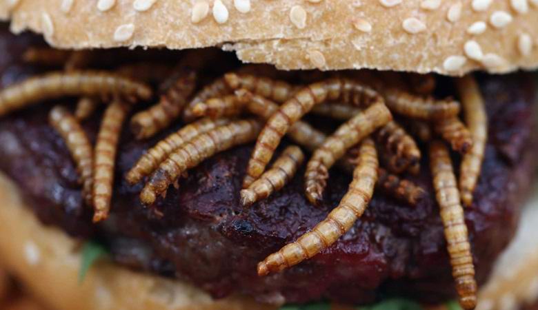 Matoleikkurien myynti alkaa Sveitsissä