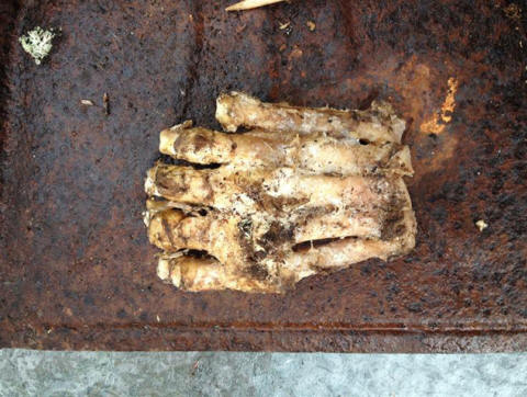 Asiantuntijat eivät epäröi olettaa, että tämä jalka kuuluu isojalkaan