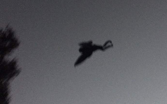 Yhdysvalloissa legendaarinen Moth Man valokuvattiin uudelleen.