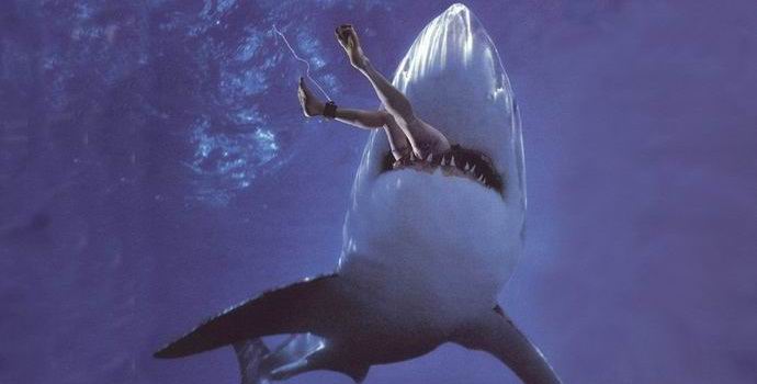 Ihmiset ovat syyllisiä haika iskujen lisääntymiseen