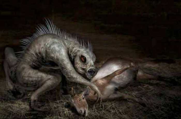 Chupacabra on ilmestynyt Ufaan