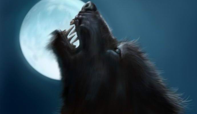 Ison-susia käsittelevä kansainvälinen konferenssi järjestetään Isossa-Britanniassa