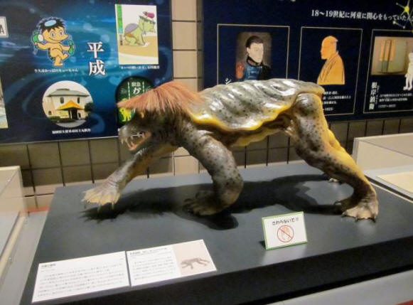 Japanissa japanilaisen vesieliön muumioituneet jäännökset esitetään