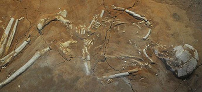 Vampiirit elävät edelleen keskuudessamme.