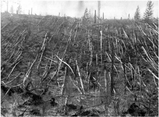 Versiot: Tunguska-räjähdys - globaalin katastrofin esiintyjä