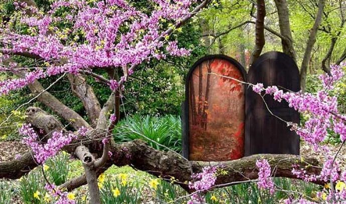 Sisäänpääsy rinnakkaismaailmaan - eliitin puolesta