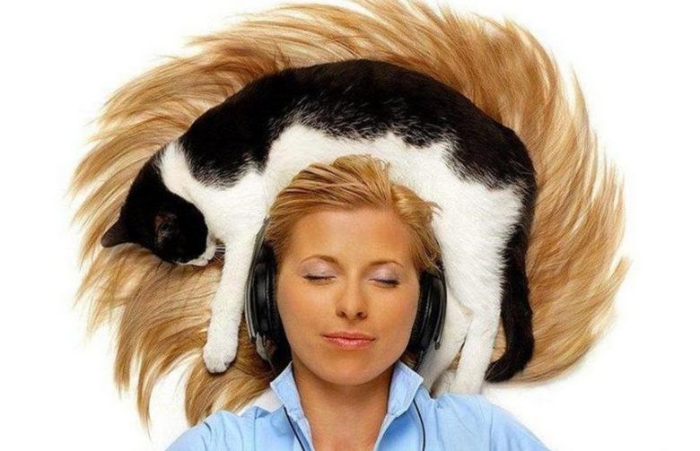 Video kissanpennusta, jolla on ihmisen pää, aiheutti laajaa resonanssia Internetissä