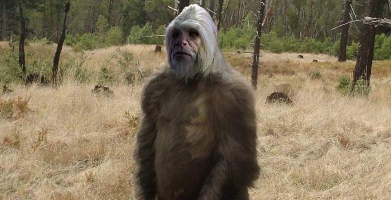 Videon kanssa yeti aiheutti kiihkeää keskustelua verkossa