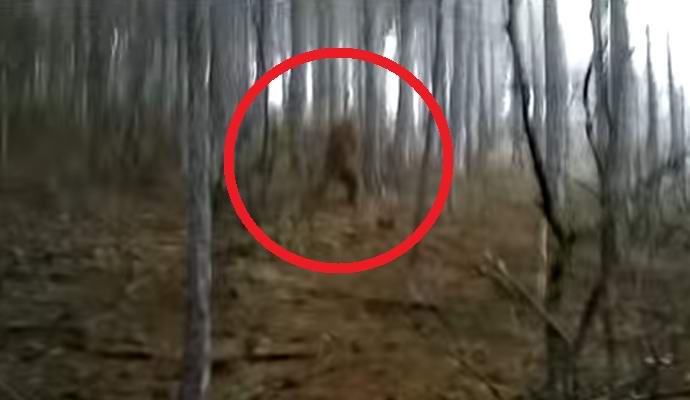 Video lumiukosta Krimissä kiinnostunut Internetistä