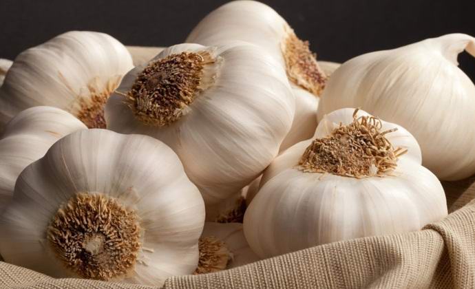 Valkosipulin maku voidaan tuntea ... jaloillasi