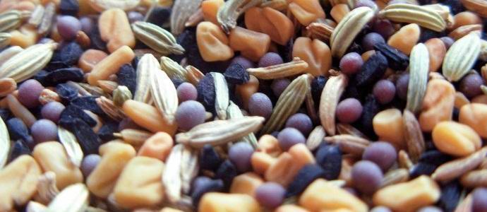 Syyrian sota menetti ihmiskunnalta siemeniä apokalypsien sattuessa