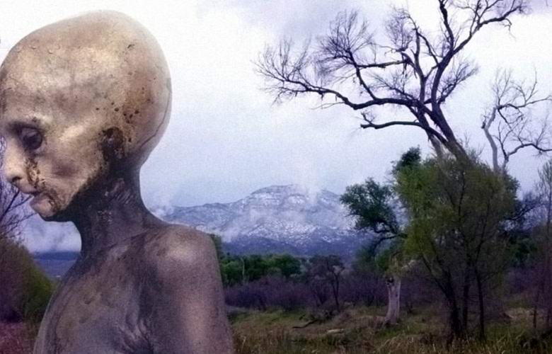 Palautettu valokuva ulkomaalaisen, jonka erikoispalvelut ovat poistaneet Internetistä