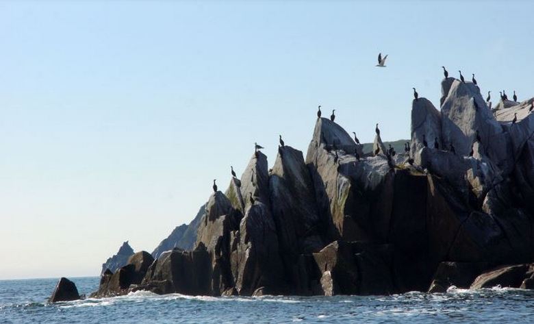 Magadanin lähellä on väärinkäsityssaari