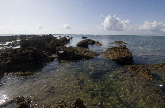 Lähellä Tansaniaa löysi kadonneet