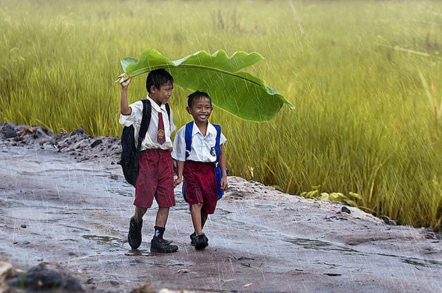 1. puoliväli1306 Vaikuttavat valokuvat vuoden 2013 ensimmäiseltä puoliskolta