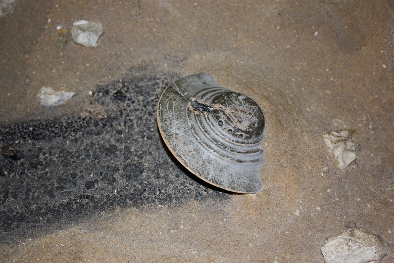 Ensimmäinen kerta UFO: ta