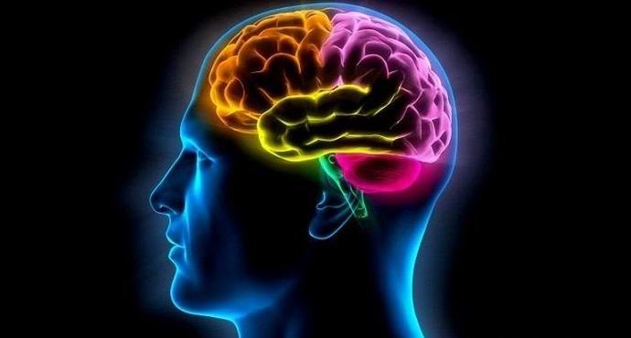 Kausi vaikuttaa henkisiin kykyihimme.