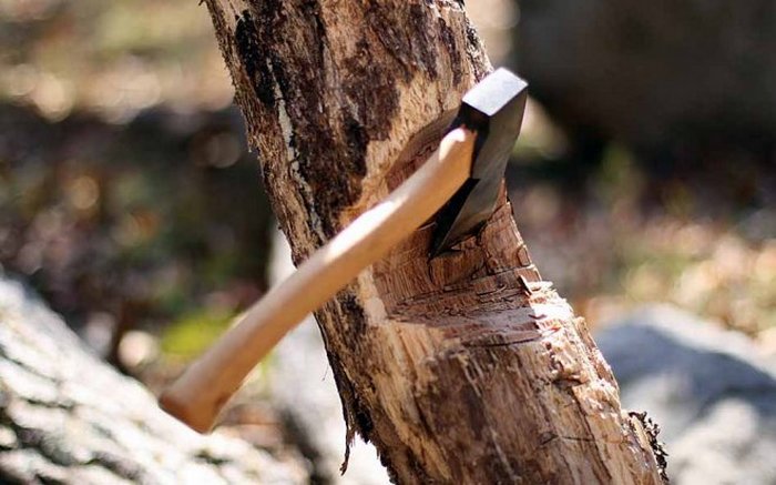 Mystinen Jakutia: näkymätön kämppikset