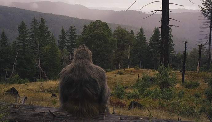 Lumiukon vangitsemiseksi luvattiin miljoona dollaria