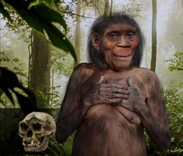 Esihistoriallisten floresialaisten kääpiöiden arvoitus