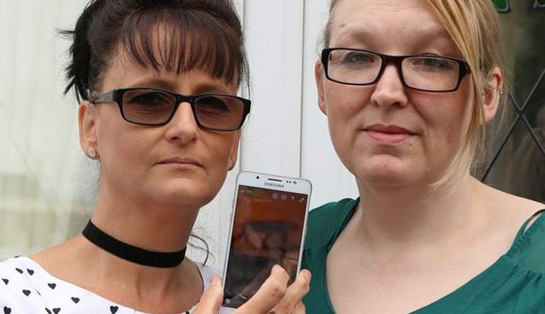 Salaperäinen kissa pääsi valvontakameraan