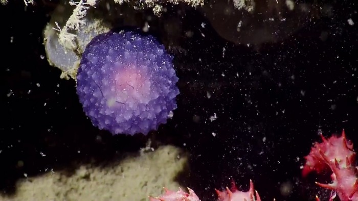 Salaperäinen valoisa pallo