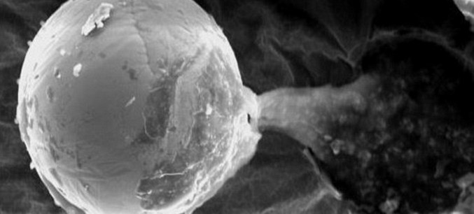 Salaperäinen esine löydettiin tutkimusanturista