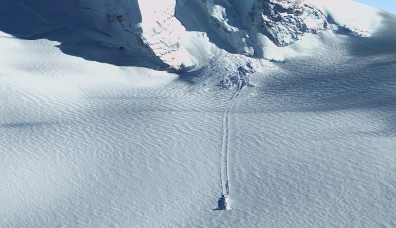 Salaperäinen polku löytyi Subantarktisen lumesta