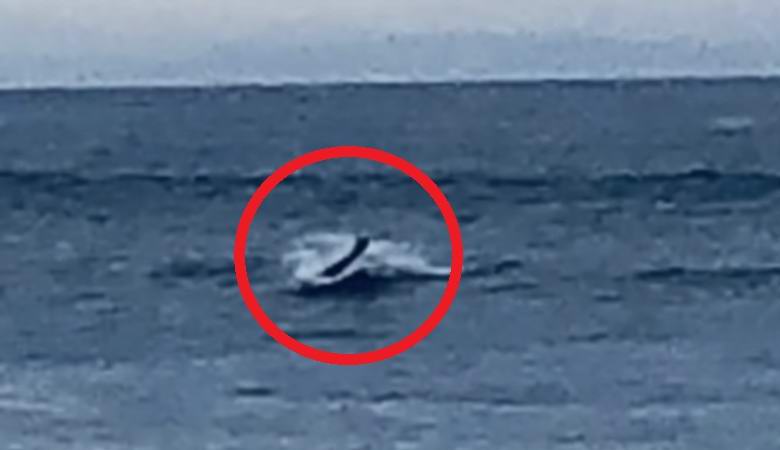 Salaperäinen humanoidiolento syntyi Kalifornian vedestä.