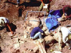 Kielletty arkeologia