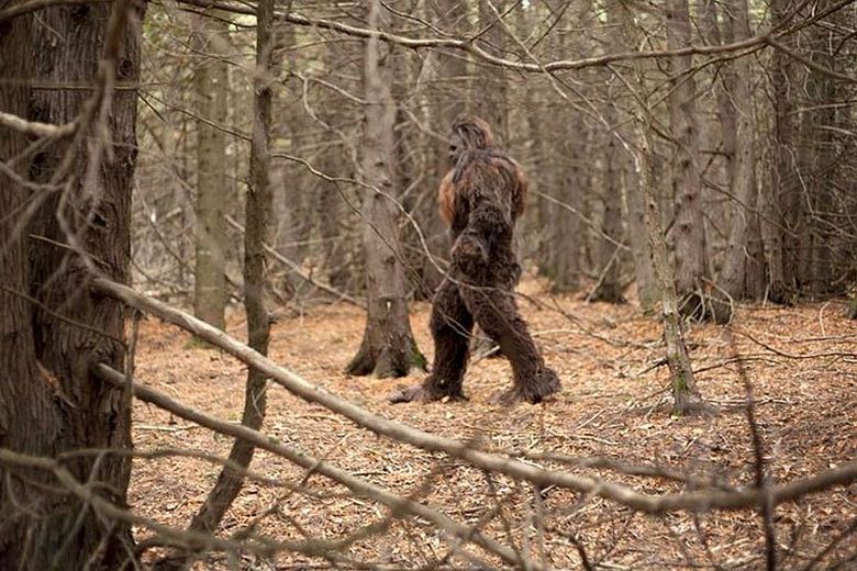 Bristolin asukas huomasi lumiukon junaikkunasta