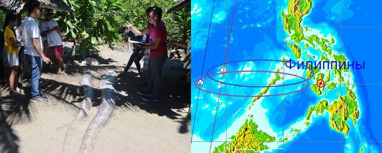 Syvänmeren asukkaat