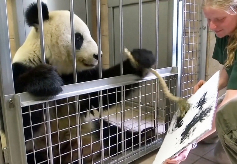 Eläimet - Ekspressionistiset taiteilijat