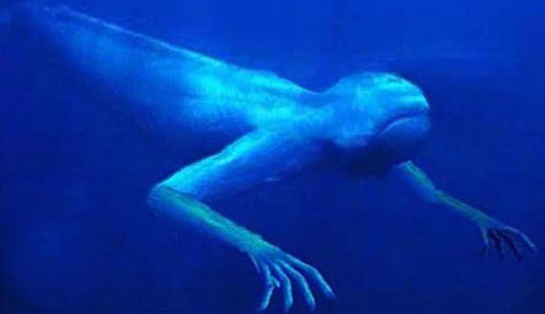 Kauhea olentoja asuu Birminghamin vesikanavissa