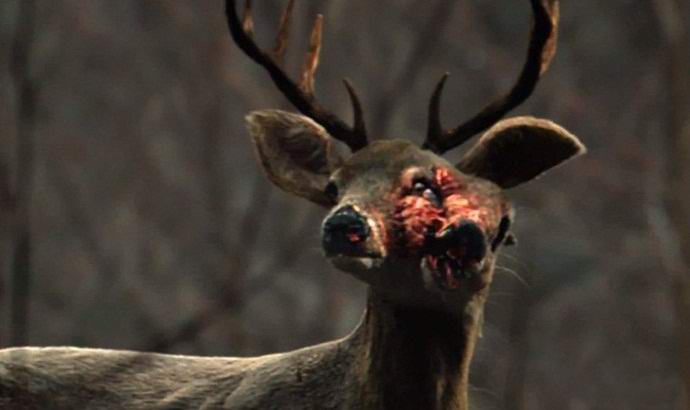 Creepy mutanttipeura pääsi videolle